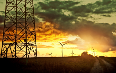 98% and Rising: Why Industrial Energy Efficiency Is the Defining Commercial Opportunity for Irish Business Energy Leaders