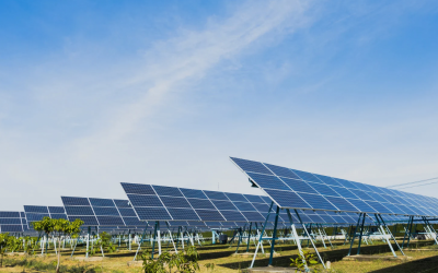 Omexom takes on two Irish soladr farms for Neoen
