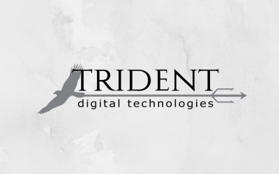 Trident Digital Tech Holdings adopts five-pillar strategy to scale digital infrastructure across Africa and Asia-Pacific