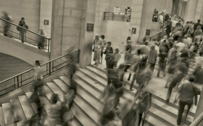 Designing for People: Why Ireland's Procurement Reform Must Follow the Design Brief