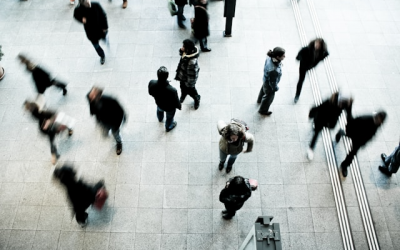 More Hours, Less Output: What Ireland's Productivity Dip Means for Operational Leaders