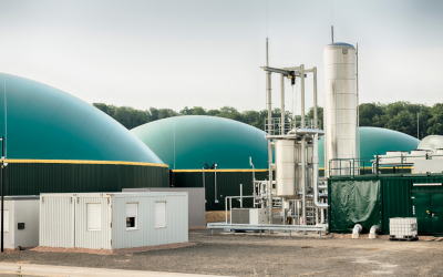 Ireland’s Renewable Heat Obligation Creates a 20-Year Market Mandate for Biomethane, Renewable Fuels and Heat Pump Deployment