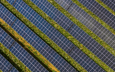 Neoen begins construction of two Irish solar farms totalling 195 MWp under RESS 4 programme