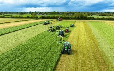 Ireland launches major study into food and health