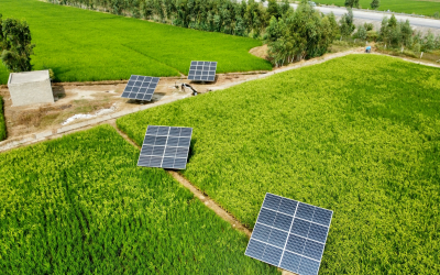 Alight to build solar farm for Piramal Pharma UK site
