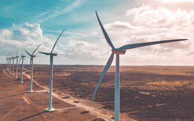 15% Lost, 667,000 Homes Unpowered: Why Ireland’s Wind Curtailment Crisis Is a Commercial Mandate for Business Energy Leaders