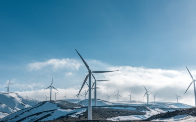 The Autonomous Energy Imperative: Why Irish Business Leaders Must Act Before 2030