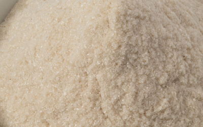 ClonBio Foods to build commercial-scale FibAX fibre production facility in Hungary