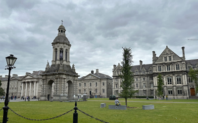 Trinity College Dublin and Microsoft Ireland report widening AI skills gap between Irish SMEs and large firms