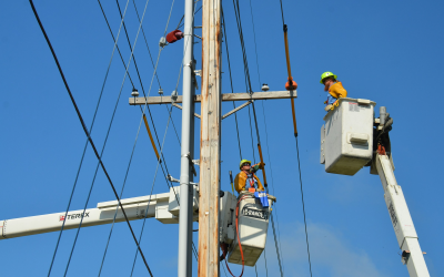 The Experience Gap: Why Solar Ireland’s Workforce Report Is a Strategic Commercial Signal for Irish Business Energy Leaders