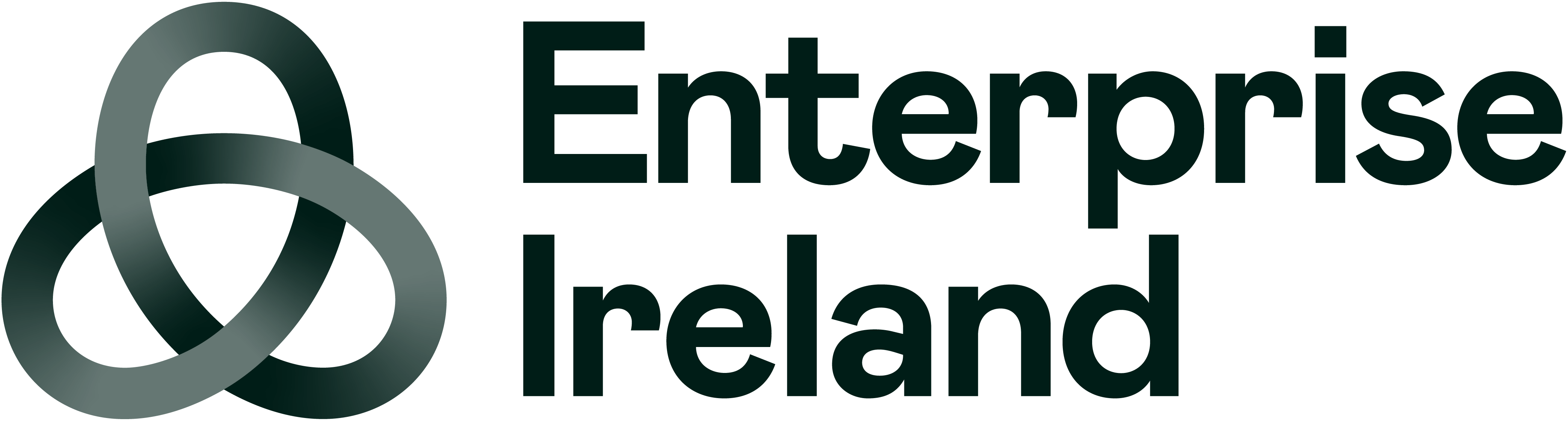 Enterprise Ireland - Building Capability